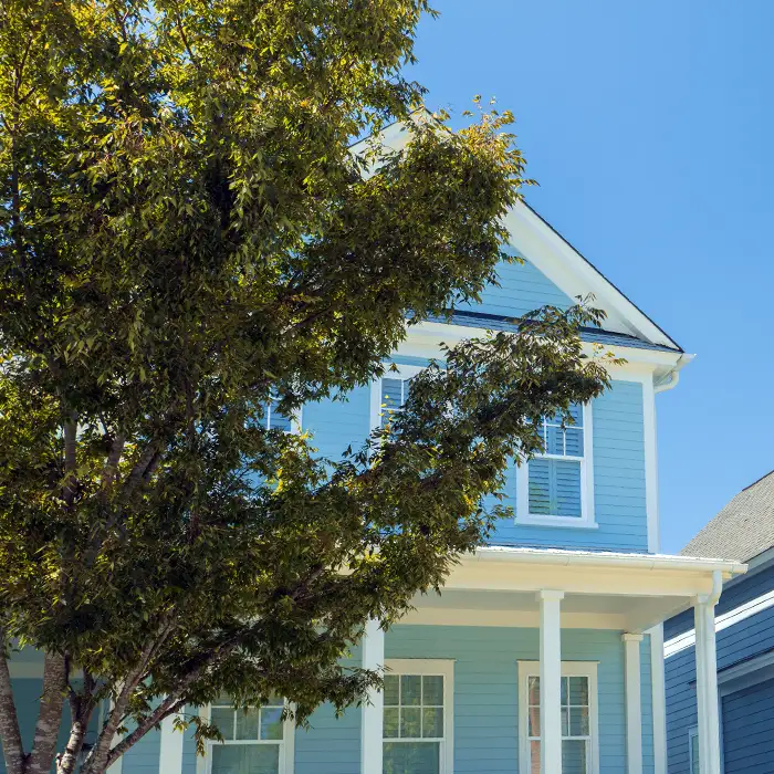 tree growing in front of home